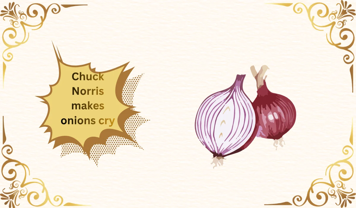 best chuck norris jokes