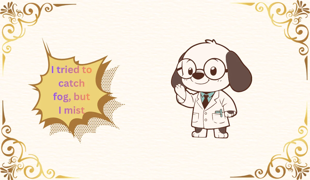 reddit jokes