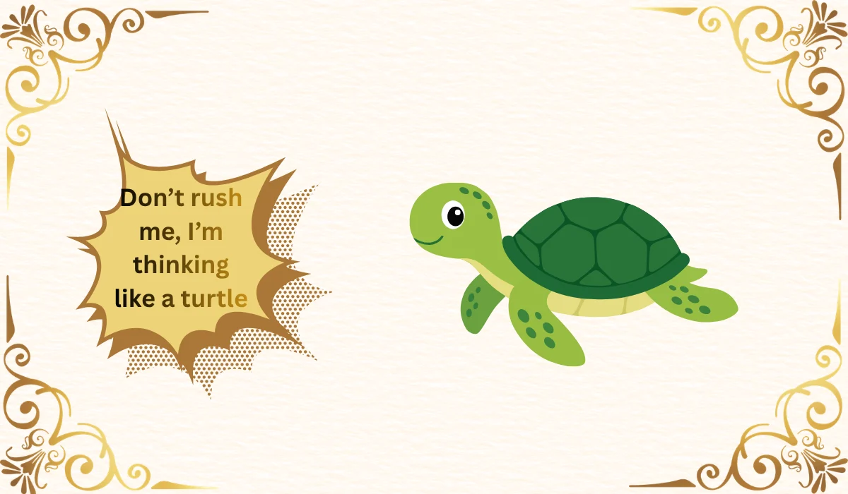 turtle jokes